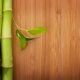 The Lifespan of Bamboo Flooring What to Expect